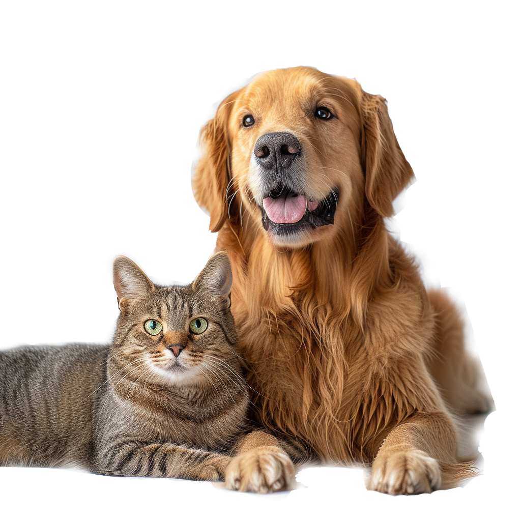 "Kickstart Your Pup's Health: The Benefits of Early Dental Care for Dogs"